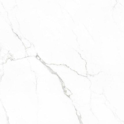 Marmerlook vloertegel 60x60 Statuario glans